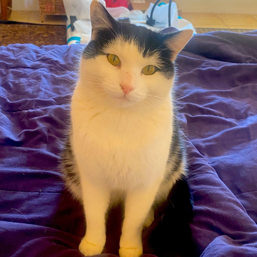 Meet your Posher, Analia